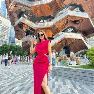 Zara Fuchsia Sleeveless dress with shoulder pads. (Blogger’s Favorite)